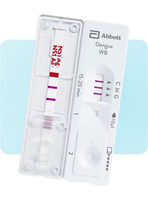 Dengue Tests Explained: When and Which Test 